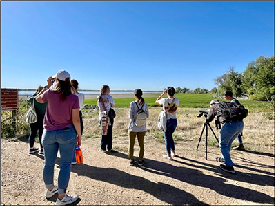 group of individuals watching birds outdoors